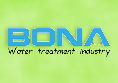 BONA bona branding design graphic design illustration logo typography vector