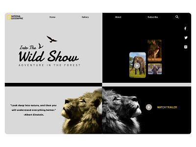 Wild Show 3d animation branding design graphic design illustration logo motion graphics typography ui ux vector