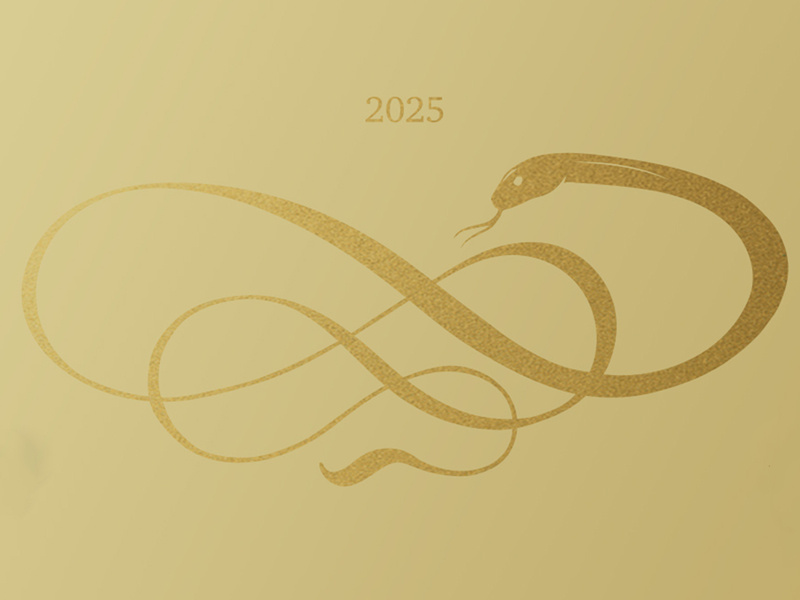 金蛇獻瑞 branding graphic design illustration logo 插畫