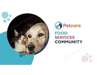 Petcare Pitch Deck Sample design graphic design pitch deck