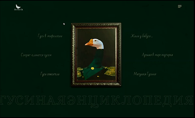 Гусиная энциклопедия animation creative design geese graphic design illustration shot ui web web design