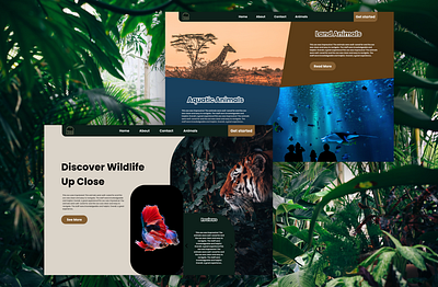 Website Design for a ZOO🐯🐠🦒 clean dailyui design minimal ui ux web web design website