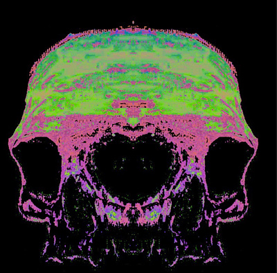 Radioactive Skull art design doom orignal radioactive skull trippy
