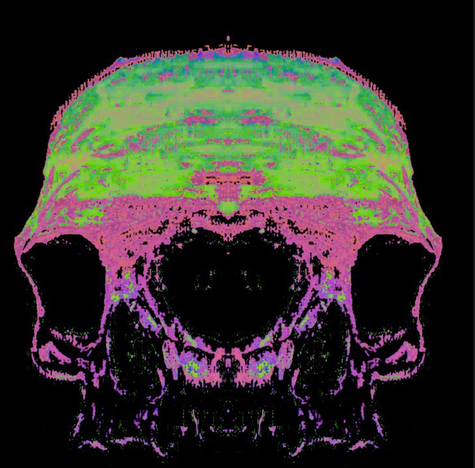 Radioactive Skull by Gordon Lewis on Dribbble