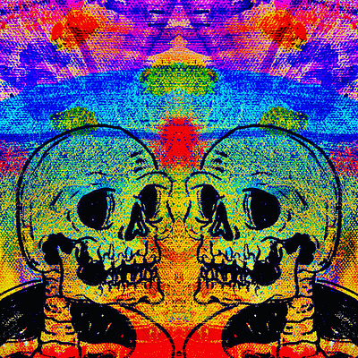 DMT art design original psychedelic skulls trippy