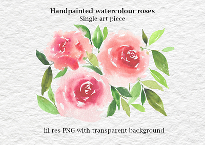 Hand Painted Watercolour Roses design florals flowers illustration painting roses watercolor wedding