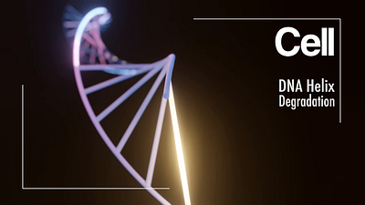 DNA degradation animation 3d animation 3d model animation biology cover art design graphic design illustration sci fi science scientific animation scientific illustration