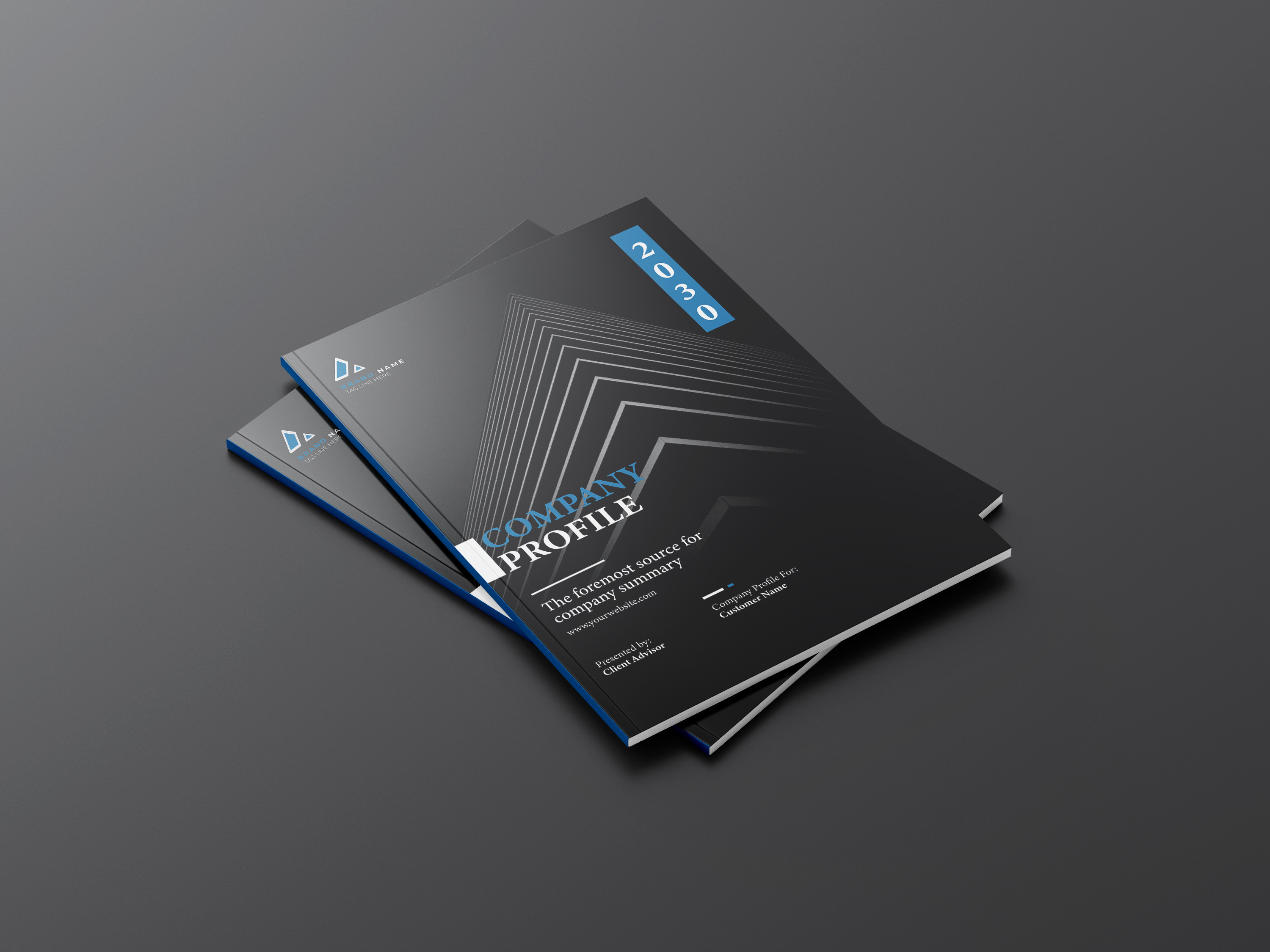 Company Profile annual report bifold brochure brochure brochure design brochures company profile flyer landscape brochure profile profile design