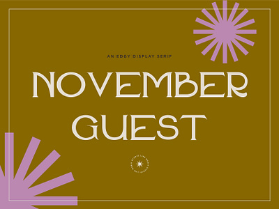 November Guest - An Edgy Display Serif alphabet design display edgy font letters numbers serif type design typography