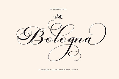 Bologna Script Font branding calligraphy cards design elegant font illustration logo modern script wedding