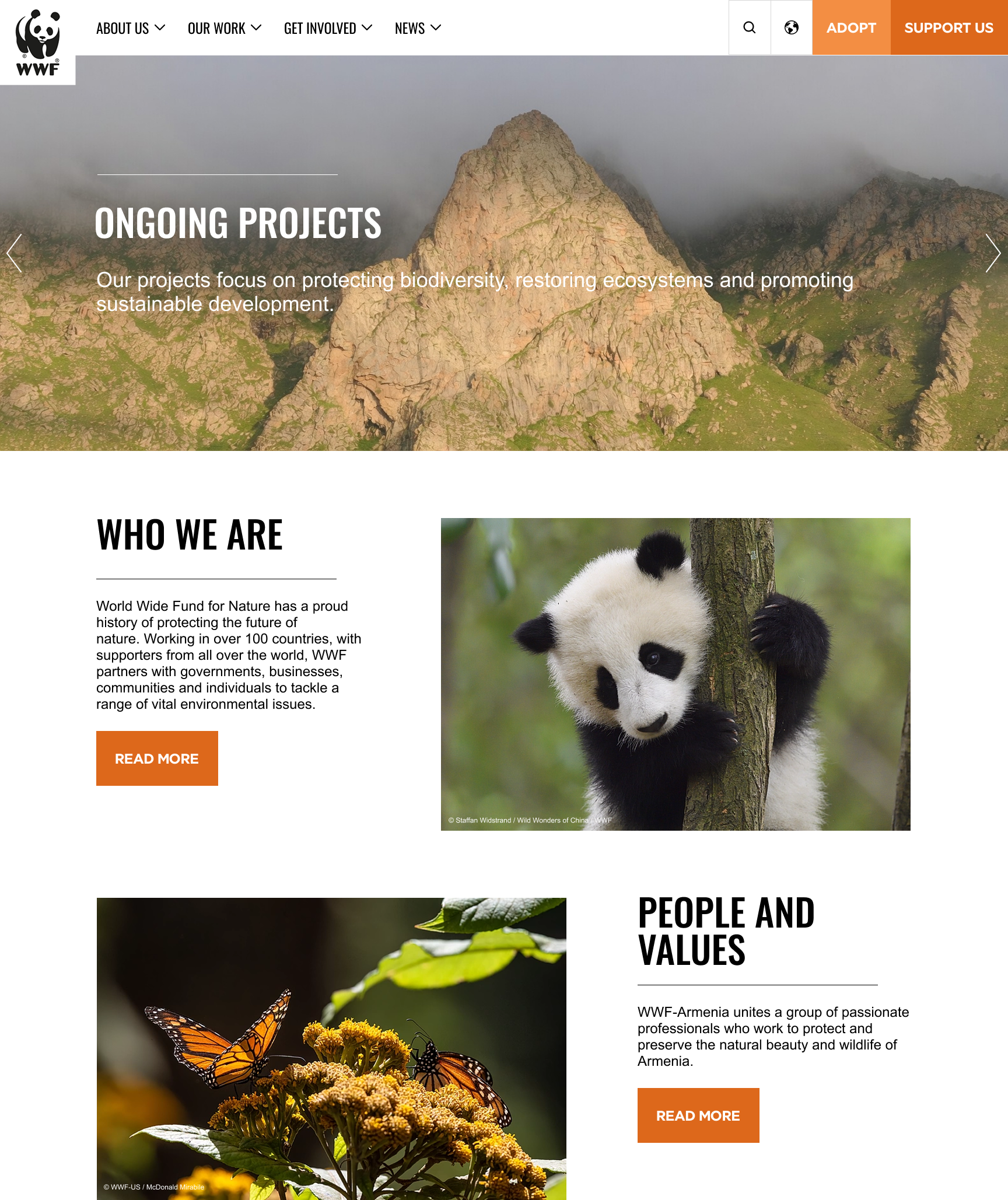 Protecting Armenia's Wildlife — WWF Landing Page conservation environmental design graphic design landing page nature nonprofit sustainability ui design ux design web design wwf