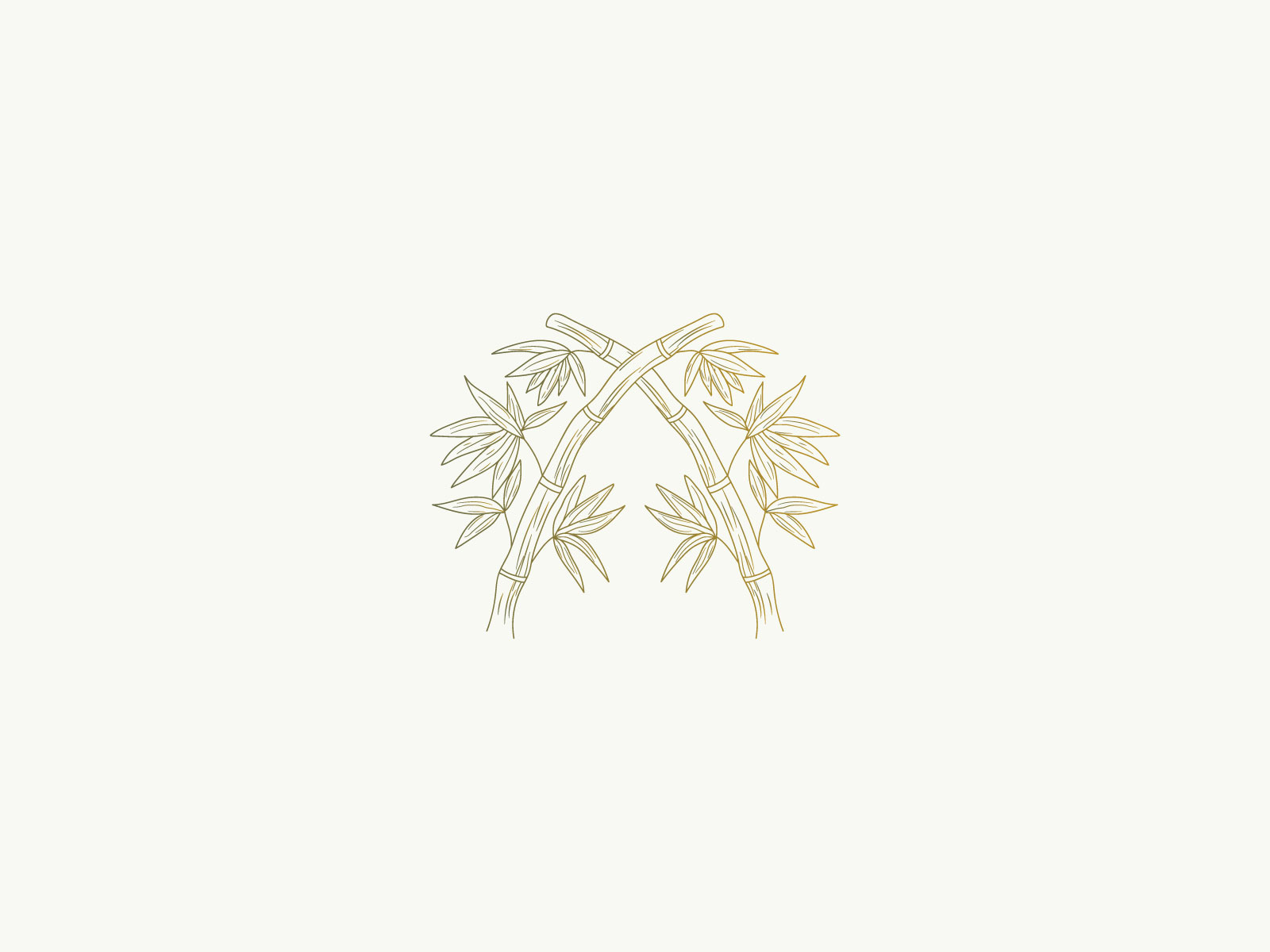 Hand drawn bamboo logo design bamboo bamboo logo design hand drawn bamboo logo hand drawn logo logo design