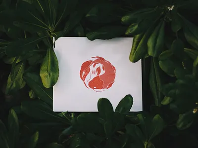 Koi — Product Shots book book cover design illustration koi fish product shots publication design vector