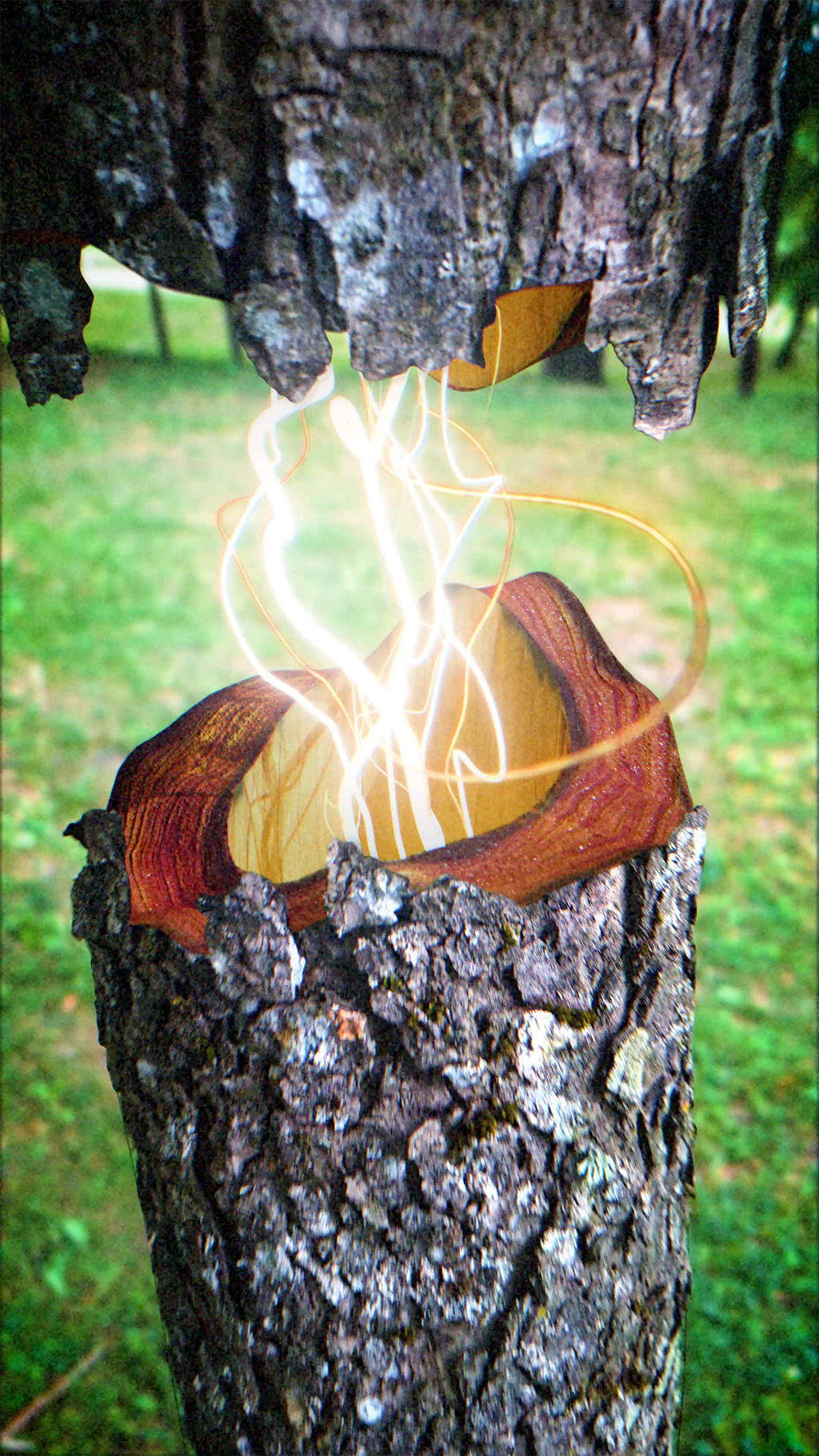 tree magic 3d animation blender geonodes motion graphics vfx