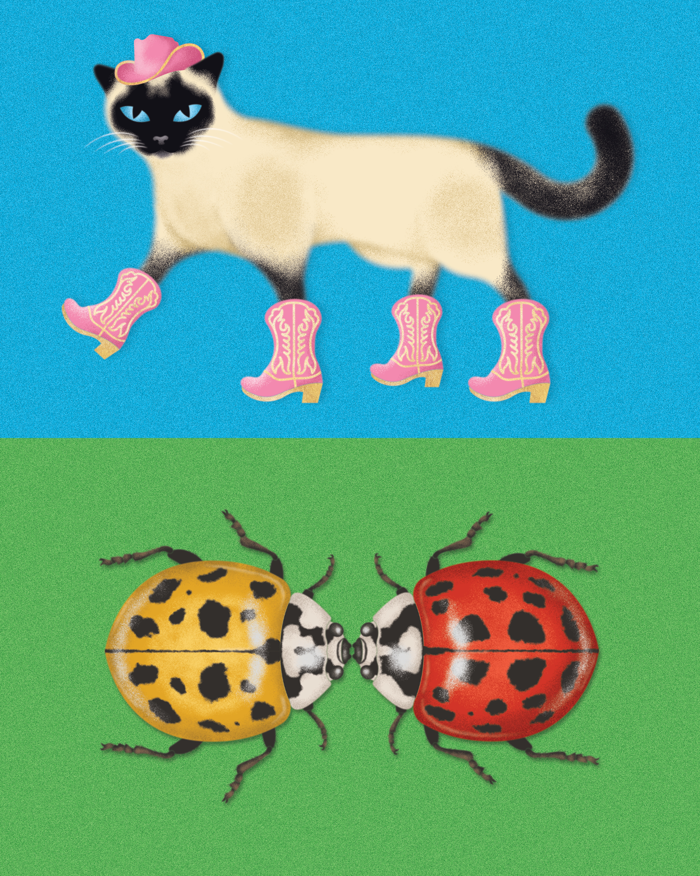 Pet Illustrations illustration vector