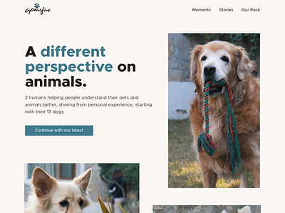 apawfive | A brand working towards human-animal harmony branding design graphic design logo ui ux