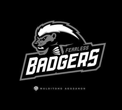 Badgers Sports Logo For Sale