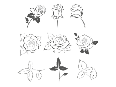 Simple vector Rose adobe illustrator beautiful cute design flowers graphic design illustration rose simple simple vector flower vector vector flower vector rose