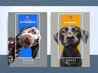 Animal Shelter Posters Series branding design graphic design typography