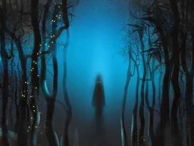 Mystical forest illustration procreate