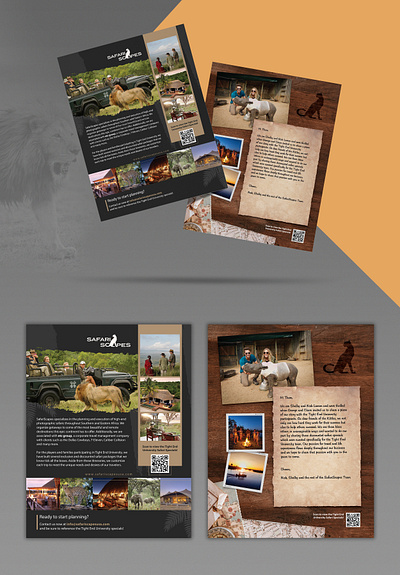 Flyer for SafariScapes adventure africa agency design flyer lion safari tourism trip university