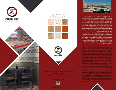 Graphic Design (Brochure, Flyer,...) branding graphic design illustration vector