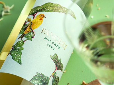 Moscato Wine Label birds canary embalagem illustration label moscato packaging vineyard vinho vino wine winery