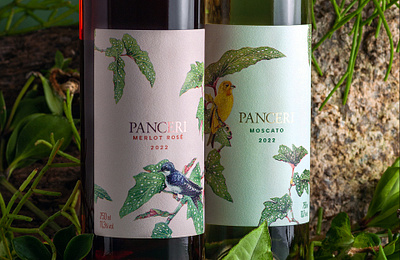 Wine Label with Bird Illustrations brids embalagem illustration label packaging vino wine winery