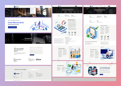 Website for Accountacy Services. design graphic design illustration typography ui vector web web design website