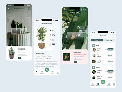 Identify the Plants branding graphic design mobile design ui ux ux design ux research web design