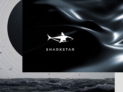 Sharkstar Logo Design branding graphic design logo logodesign logodesigner logos minimalism minimalistic logo music shark ukraine ukrainian design vector yamilogos yana tokareva