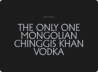 Chinggis Khan alcool art direction graphic design spirit ui vodka web design