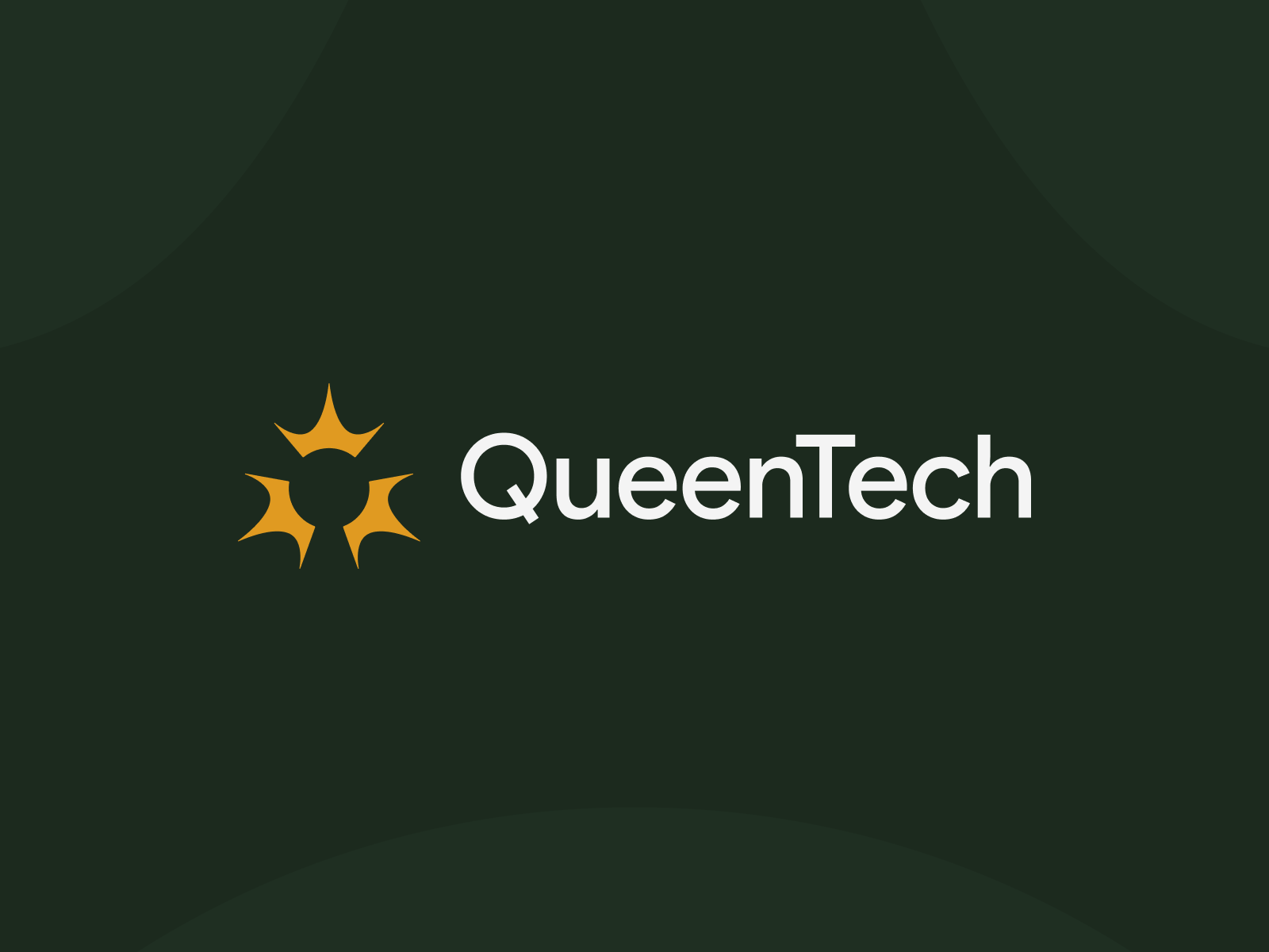 QueenTech detailing brand branding detailing graphic design green logo queen royal visual identity