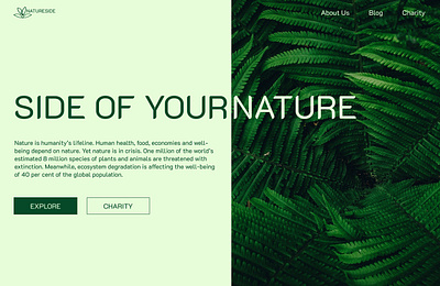 Side of your nature 2023 branding buttons design green home page illustration logo minimal nature picture ui ux vector web