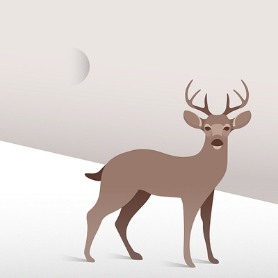 "A FLAT MINIMALISTIC ILLUSTRATION of DEER." animal design graphic design illustration vector