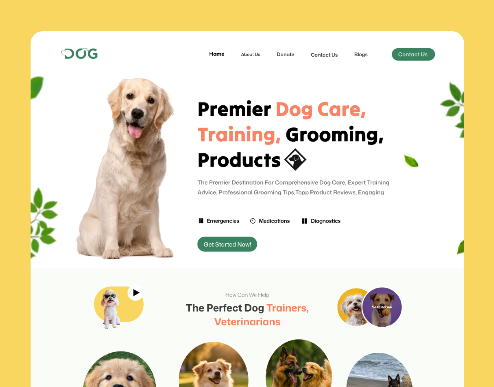 Dog Care – Pet Services Website UI Design clean design dogs dogs website figma landing page modern website new design pet care pet website ui web design