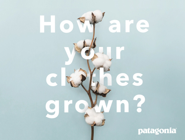 Patagonia Cotton - Animation after effects animation cotton flowers growing growth motion design organic patagonia photoshop plant type