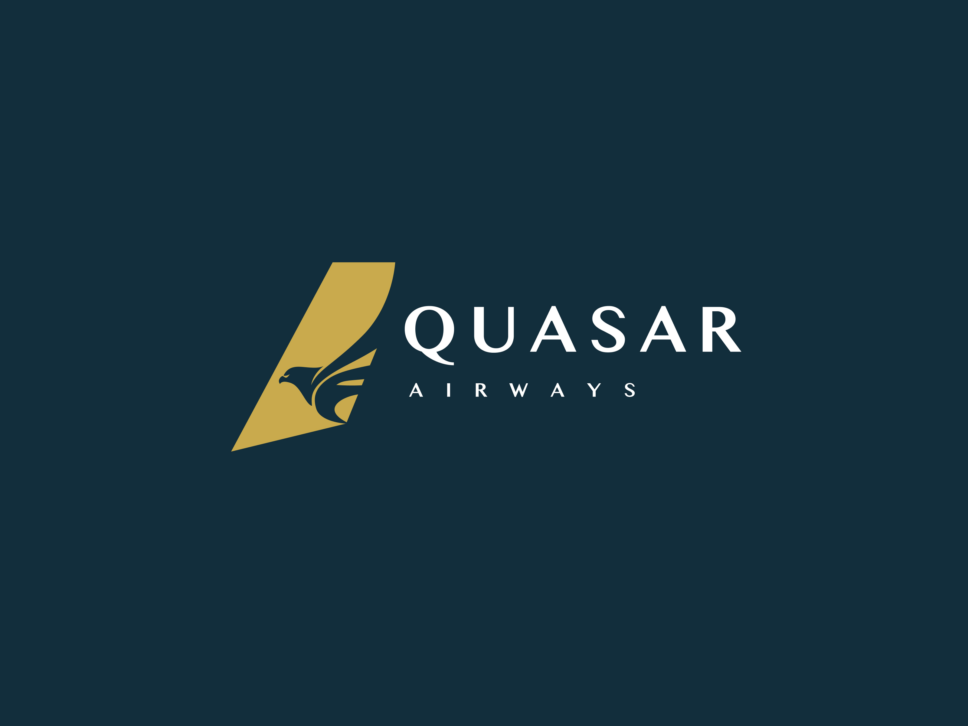 Airways Branding Concept brand brand design brand identity brand sign branding color focotikbranding font graphic design identity illustration logo logo design logotype packaging style guide typography