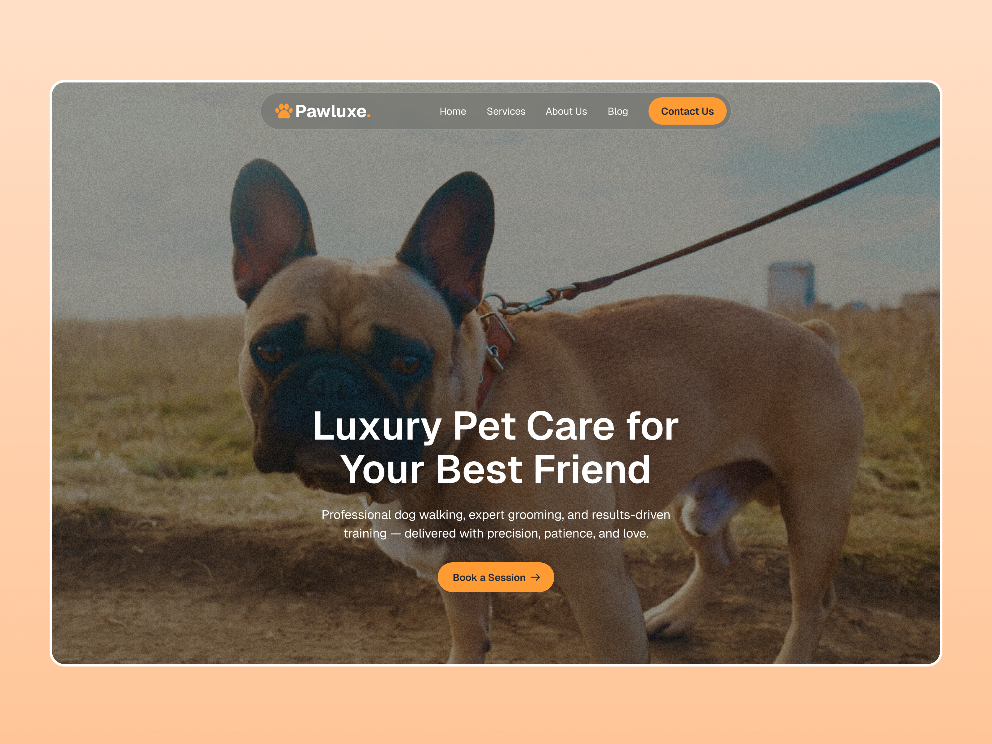Website Design for Pet Care Services 2026 animals care dog figma framer graphic design grooming modern orange pet template ui walking web design website website design