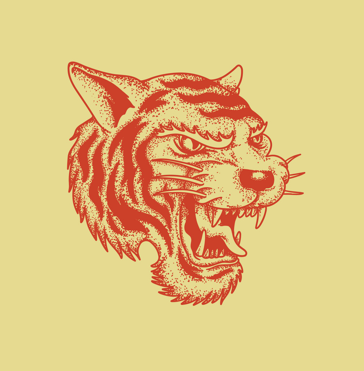 Laranja Tigre