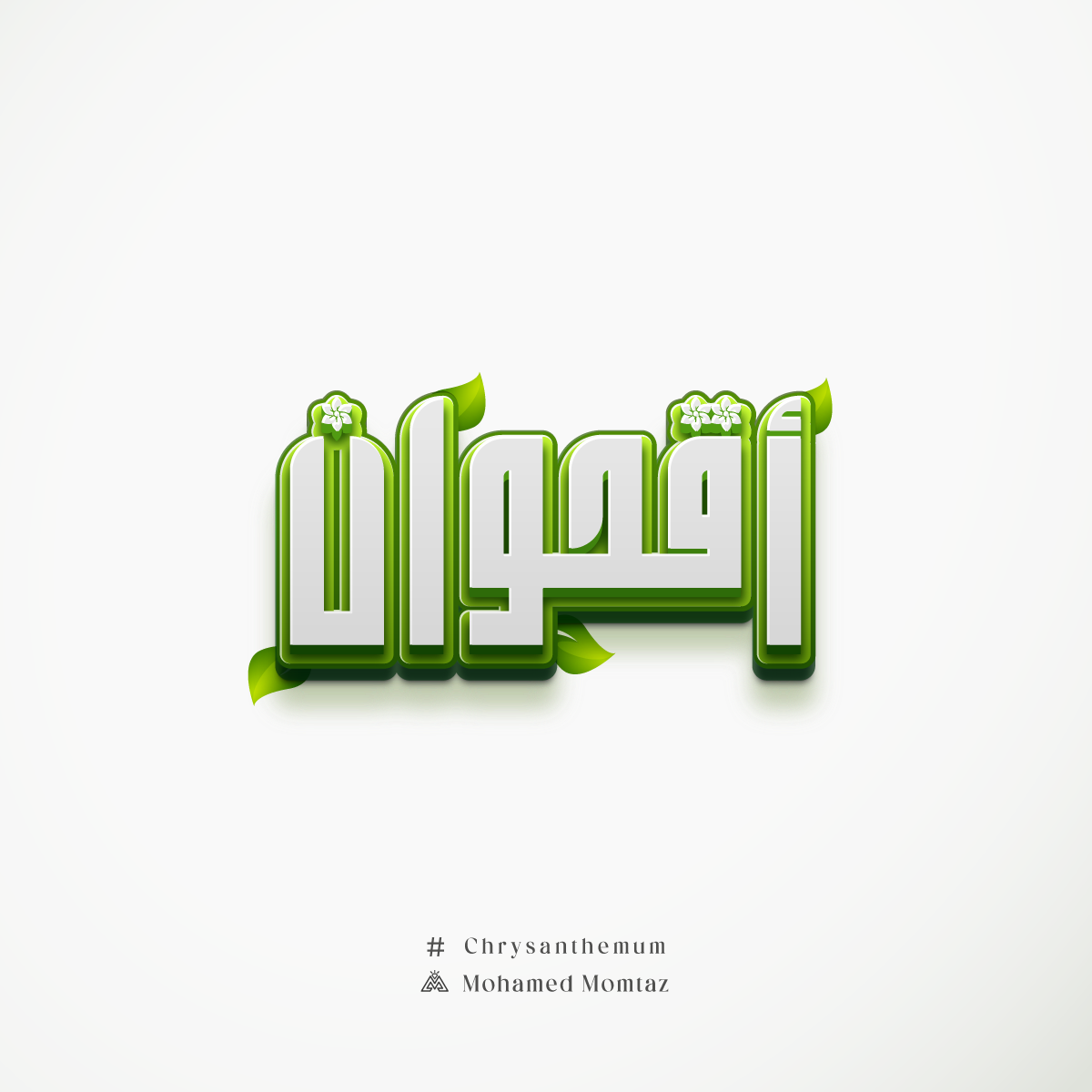 Chrysanthemum arab arabic calligraphy arabic design arabic typography art calliraphy chrysanthemum design graphic design icon illustration logo modern plants text effect typing typographic typography