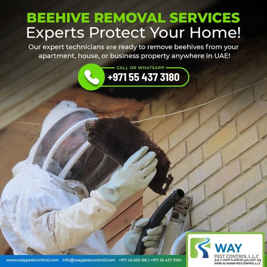 Beehive Removal Services by Way Pest Control on Dribbble