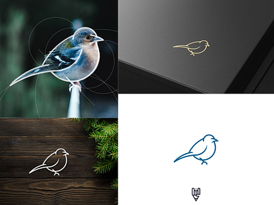 Bird Logo Design app bird branding design flat golden ratio graphic design grid logo icon illustration line art logo pet ui vector