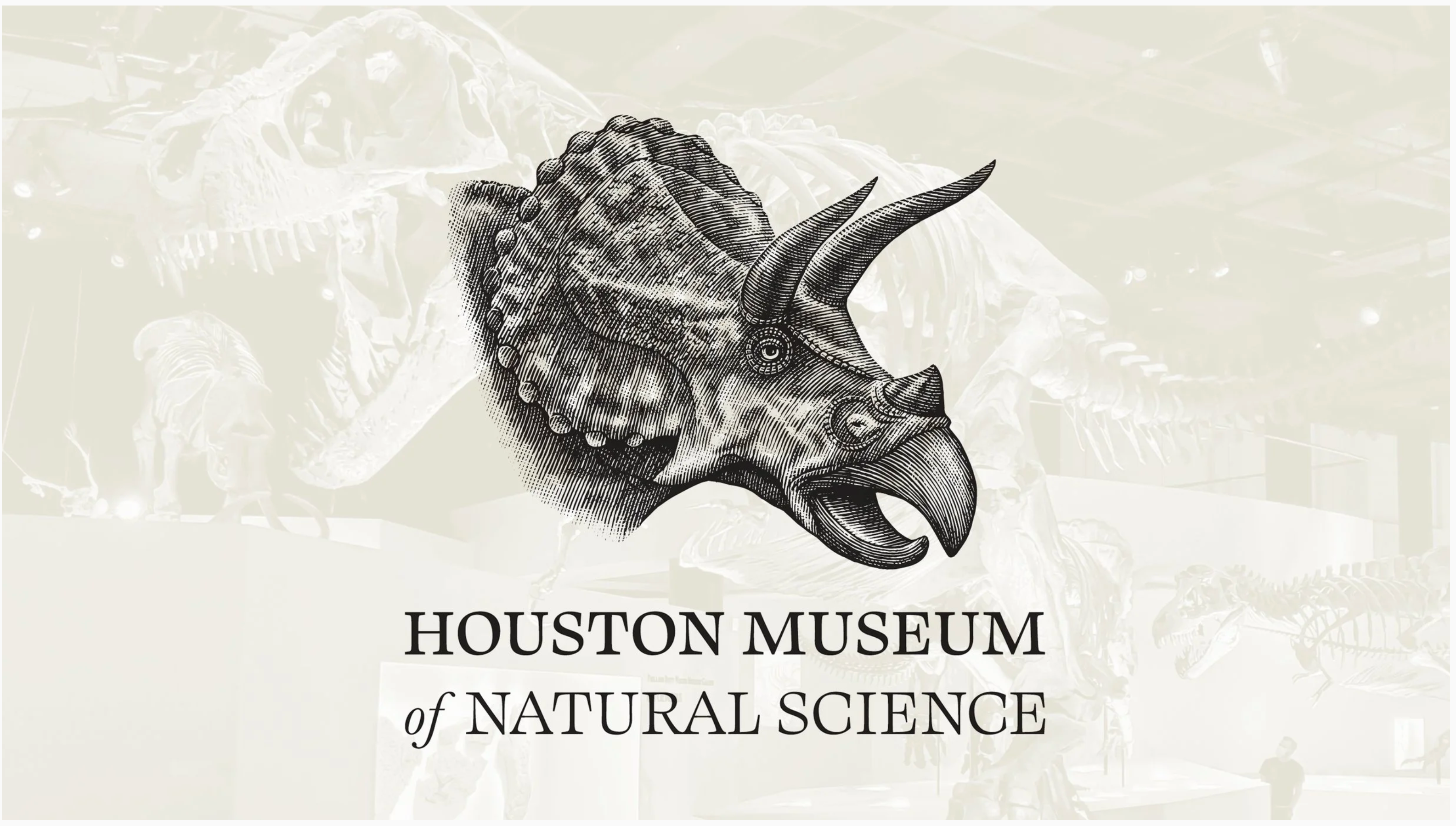 Houston Museum of Natural Science art by Steven Noble artwork branding design dinosaur engraving etching illustration line art scratchboard steven noble vintage woodcut
