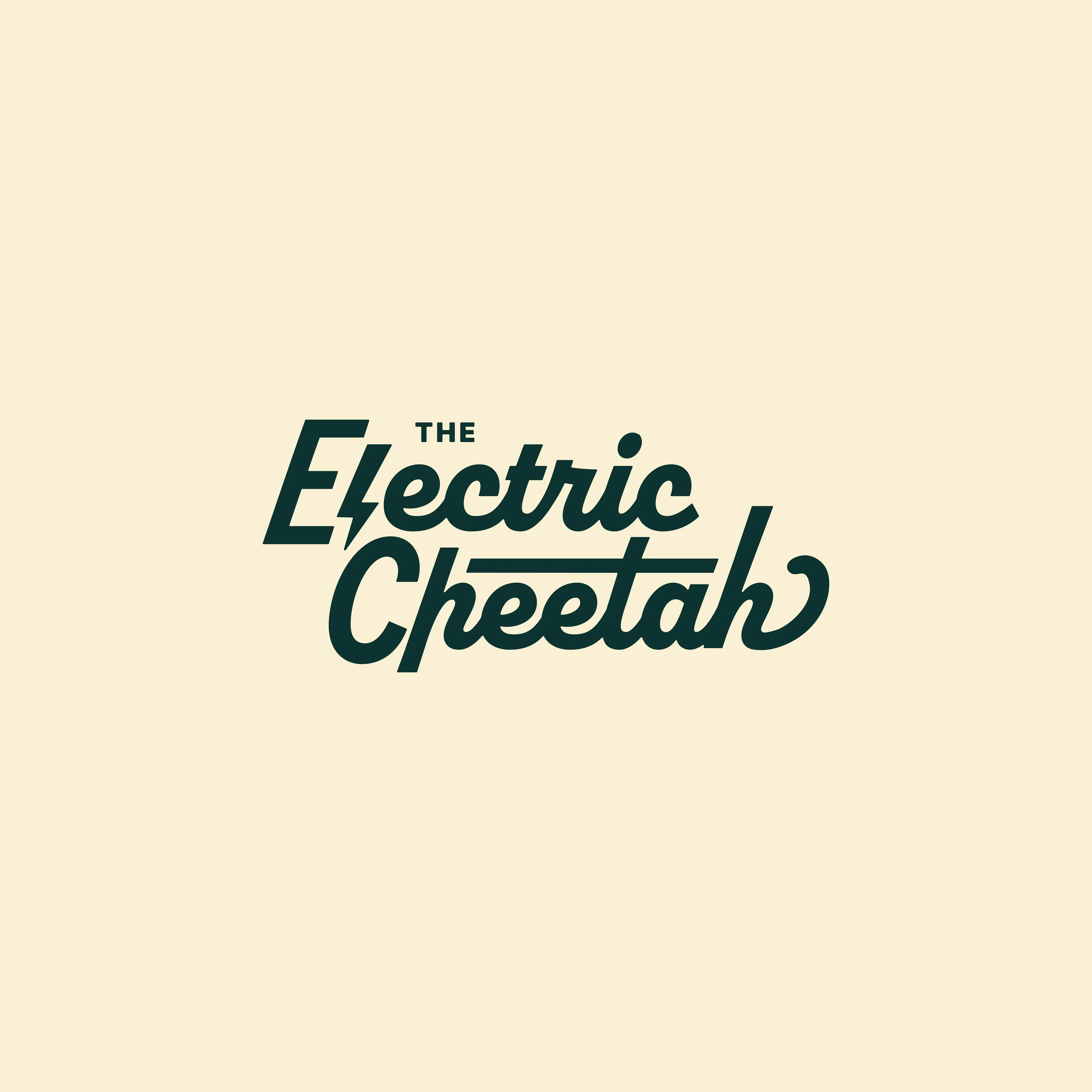 Electric Cheetah Logo Concepts