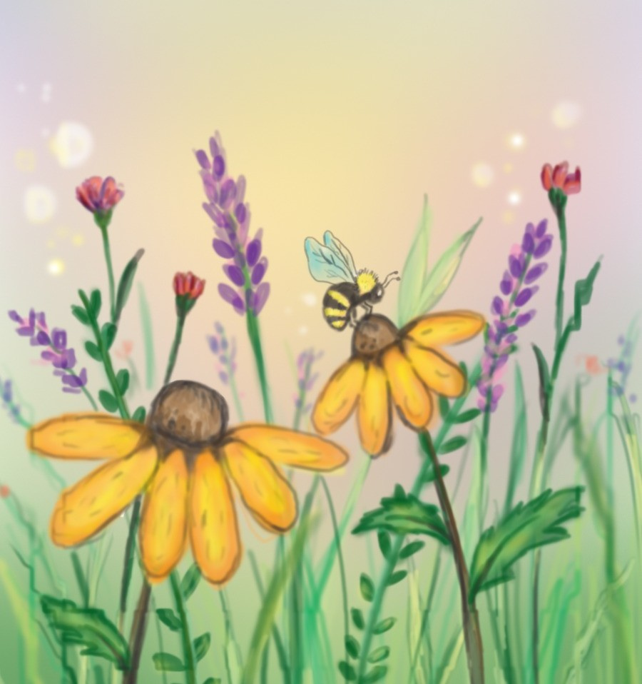 Fly Anyway annimation digitaldrawing digitalpainting illustration