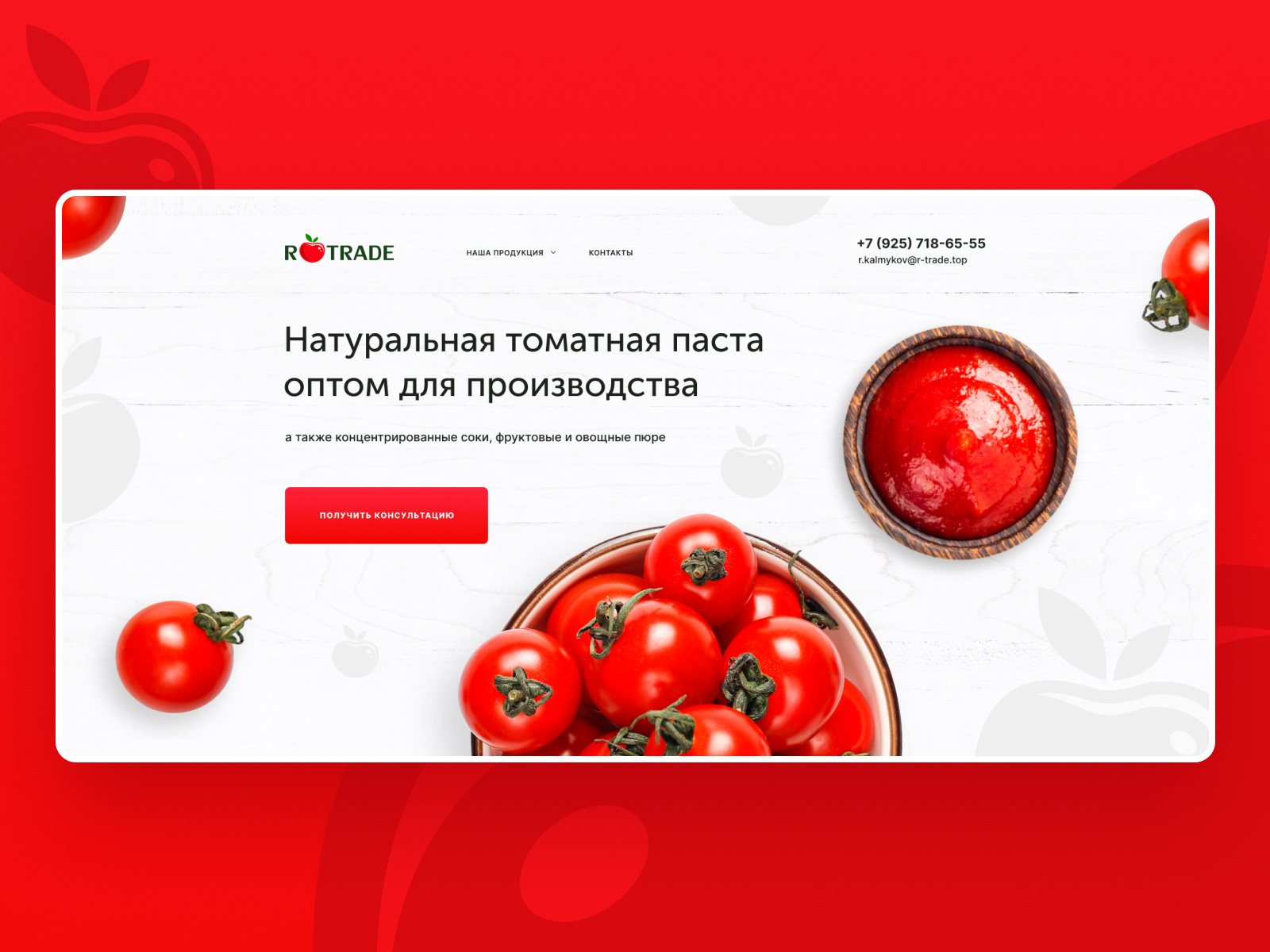 Example of Manufacturer of tomato paste and fruit purees website design