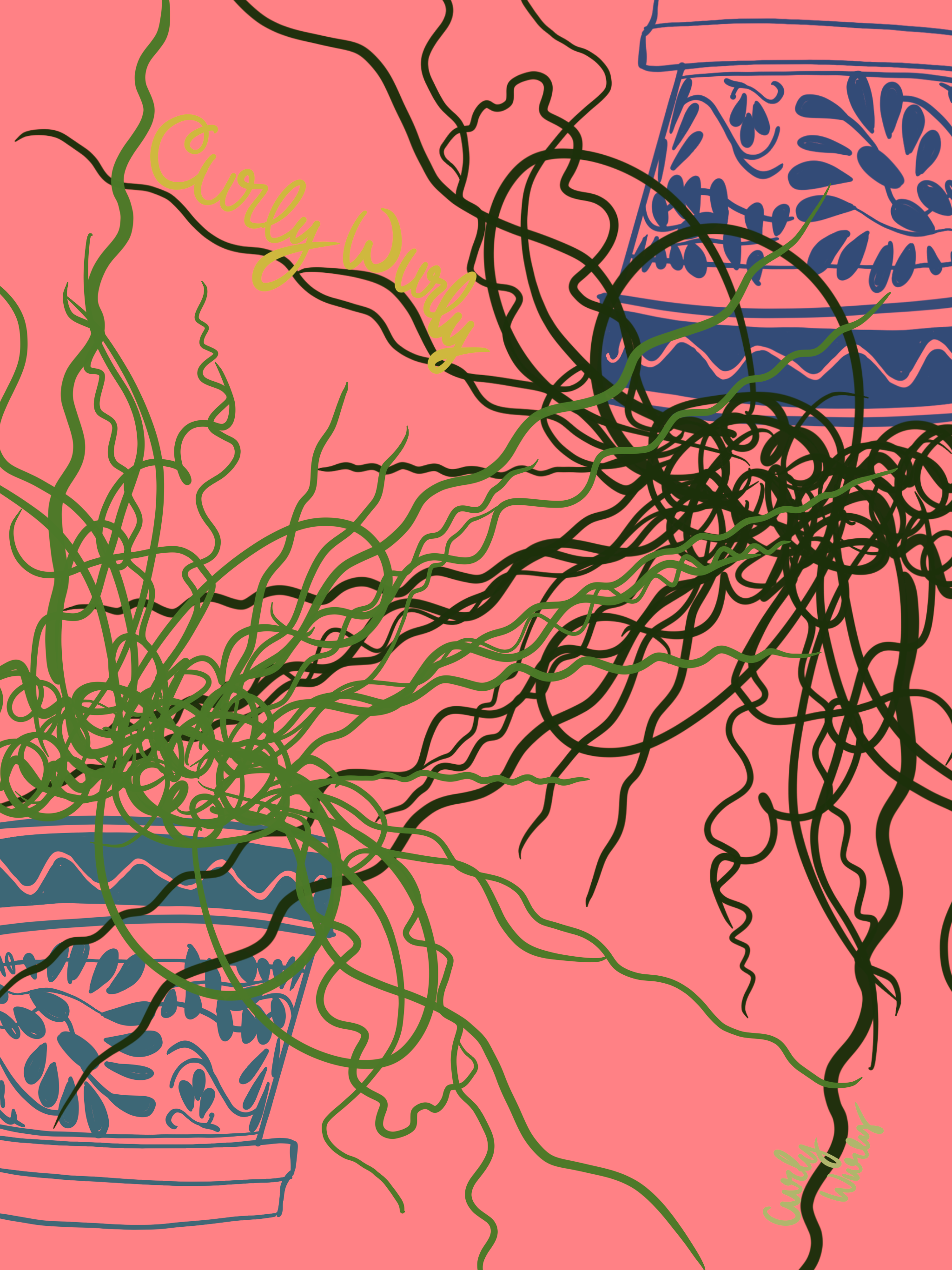 Corkscrew Rush Illustration