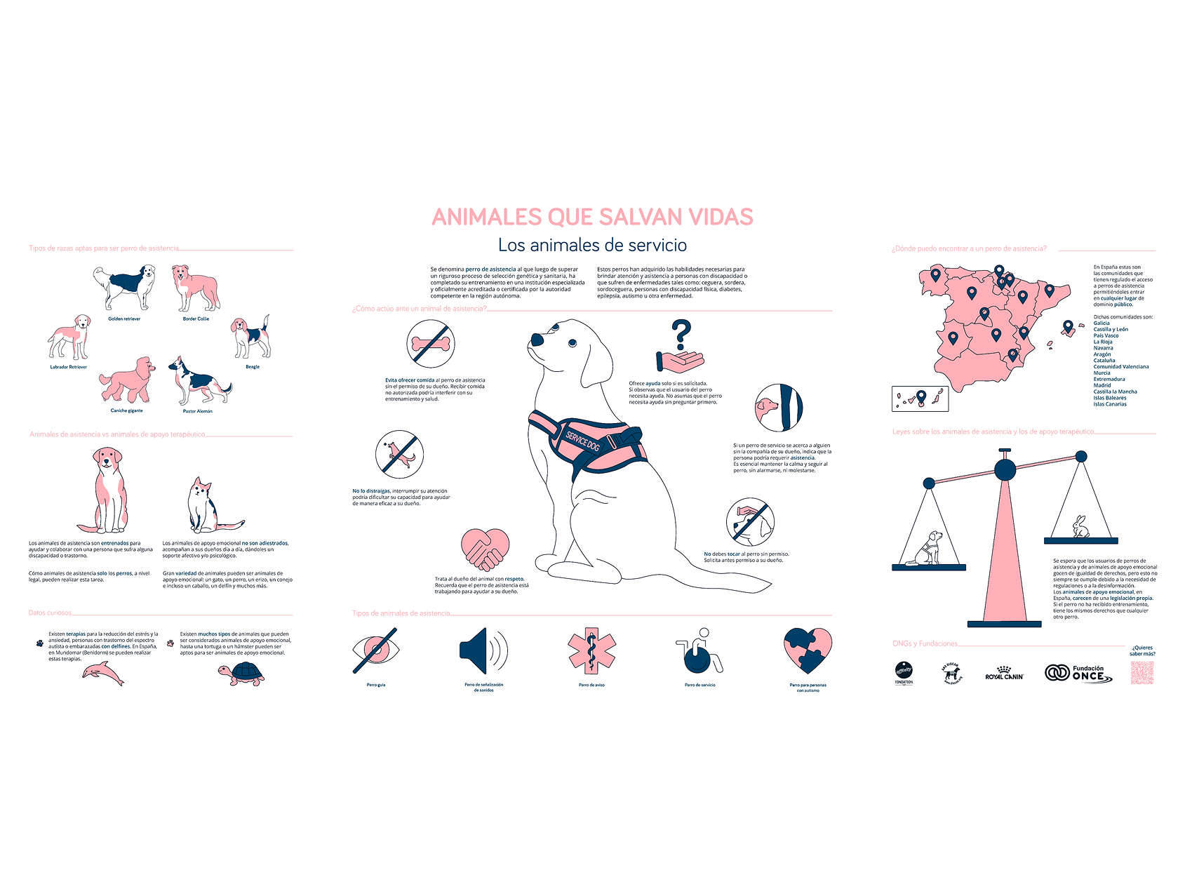 Animales que Salvan Vidas: Infografía de Animales de Servicio datavisualization graphic design ilustracion ilustration infografía infographic perrosguía