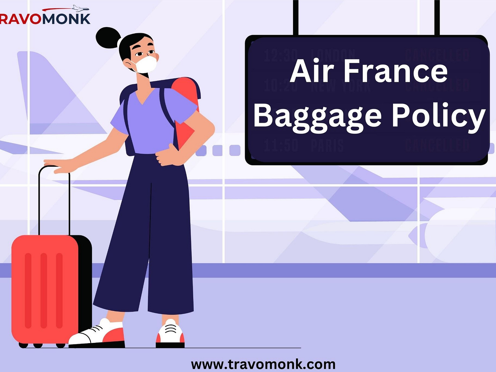 Air France Baggage Allowance by Devin Driss on Dribbble